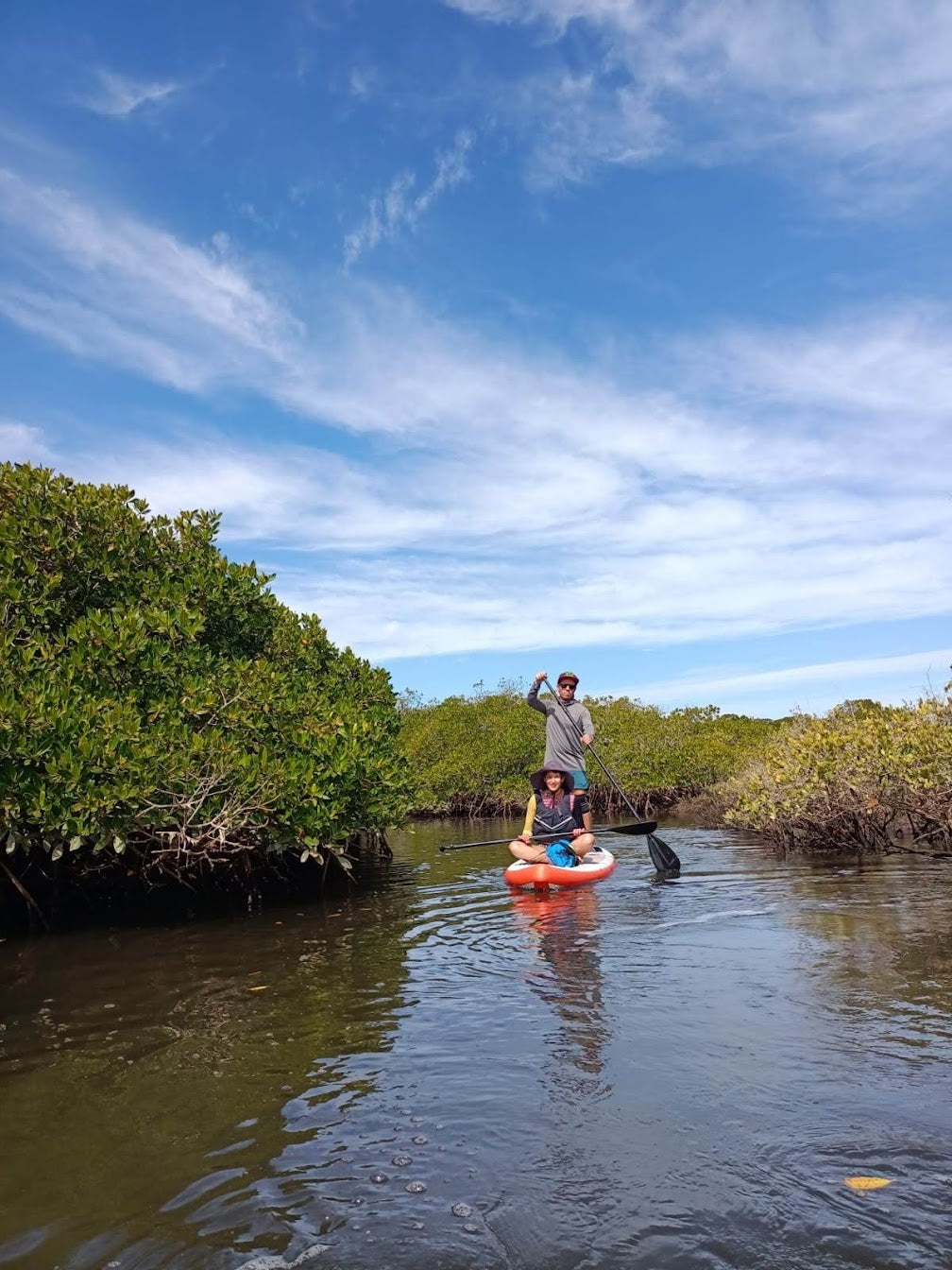 🏄🏻‍♂️ Salida en paddle al manglar del Mogote  - Pablo